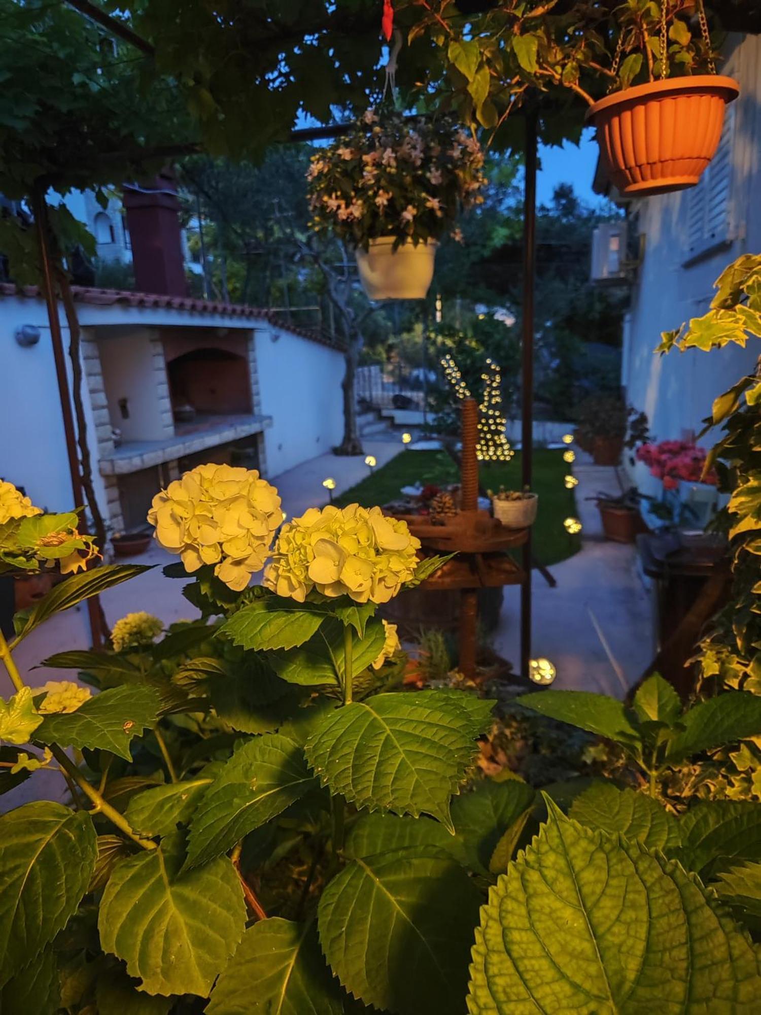 Apartmani Andela Kordic Supetarska Draga Exterior photo